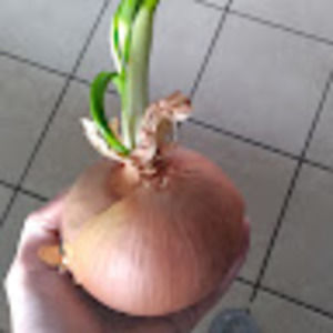 Meet your Posher, Dezare